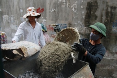 Những sinh viên “phu hồ”