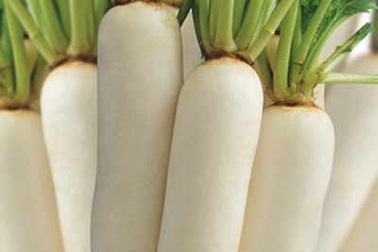 Bài thuốc dân gian trị bệnh khi trời rét  