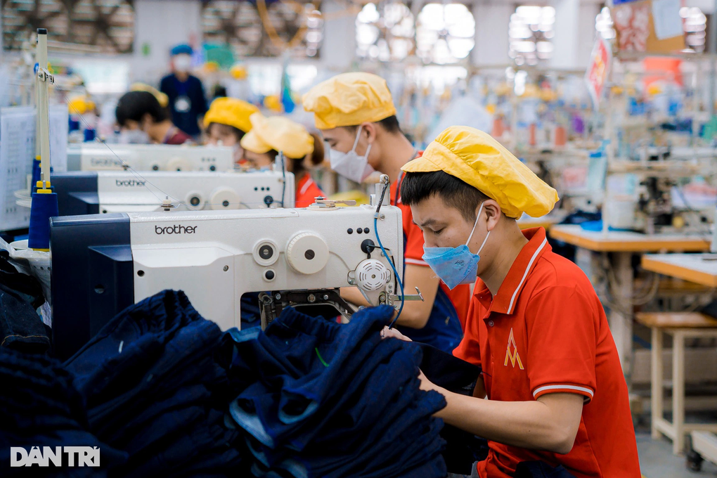 Hơn 1.600 lao động ở TPHCM bị cho thôi việc - 1