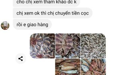 Chồng bán cá khô nhờ vợ nhận tiền, bị lừa mất 180 triệu đồng