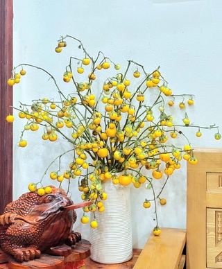 Cô giáo gây sốt với bình quả từ nguyên liệu “xin dọc đường” - 5