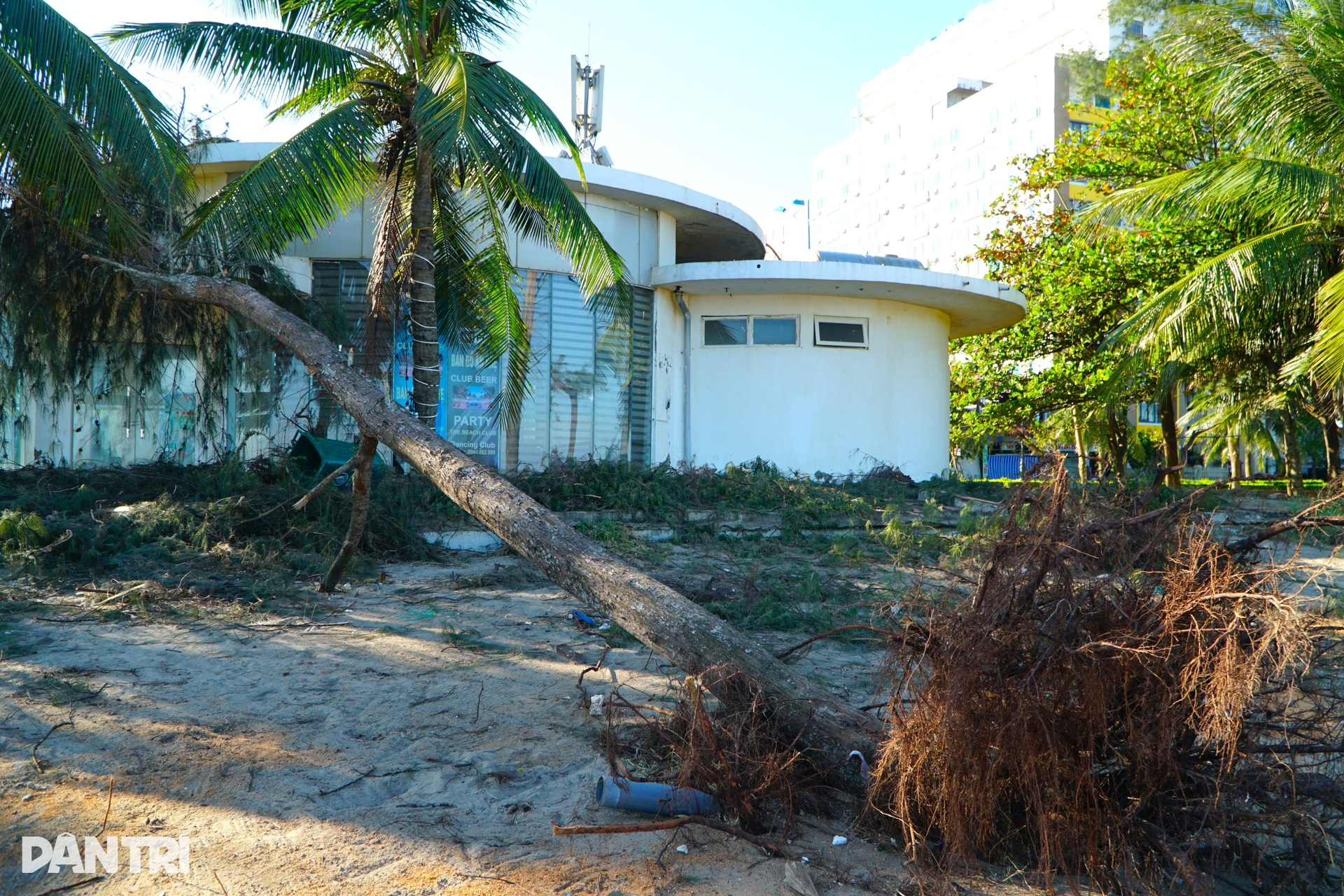 Biển Sầm Sơn tan hoang, ngổn ngang rác thải sau bão Bualoi - 4