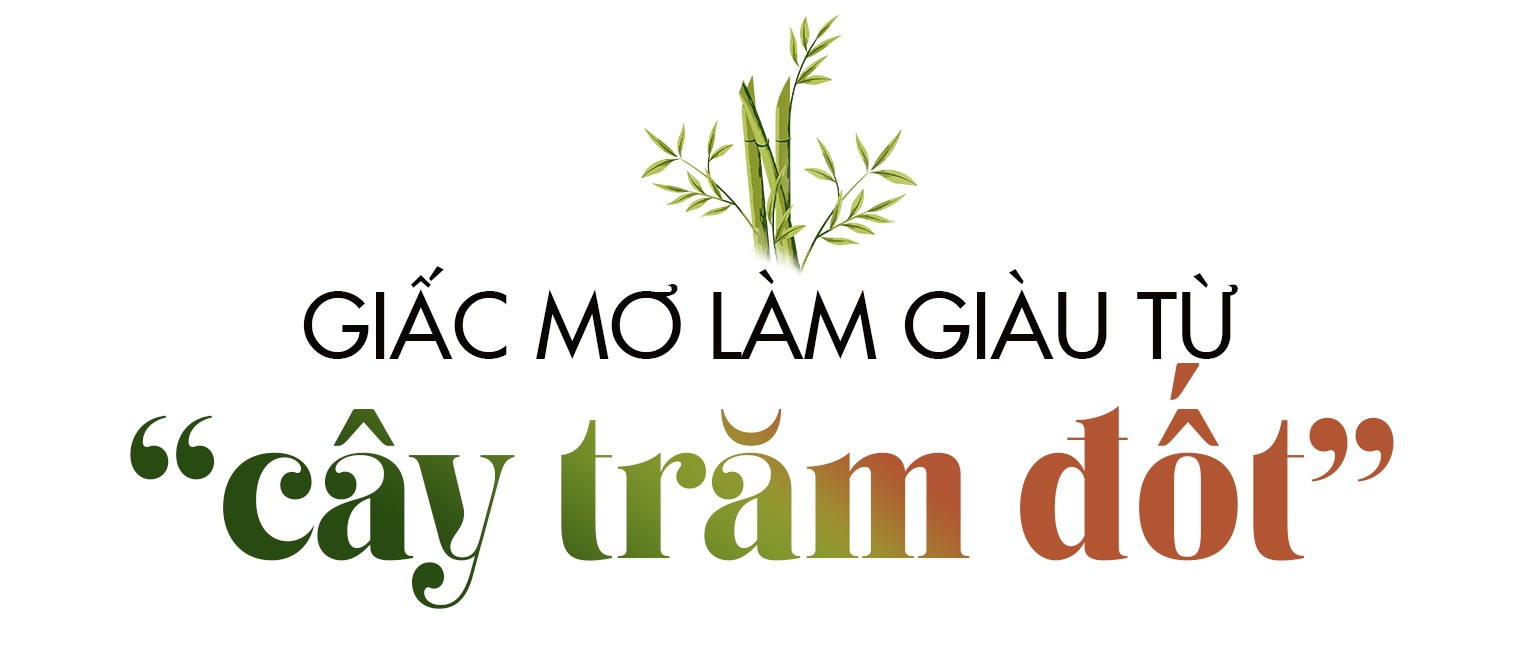 Biến cây khắc nhập, khắc xuất thành sản phẩm tiền triệu - 1 Biến cây khắc nhập, khắc xuất thành sản phẩm tiền triệu - 1