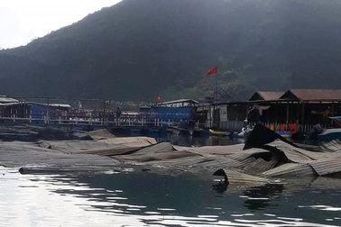 Cháy lớn thiêu rụi nhà hàng bè nổi và tàu cá ở Vũng Rô