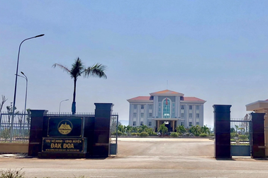 Hủy quyết định bổ nhiệm chức vụ Trưởng Ban Tổ chức Huyện ủy ở Gia Lai