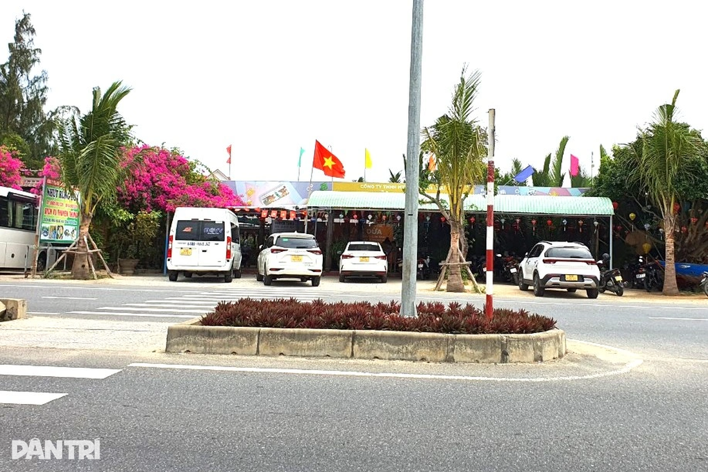 3Xam-lan-trai-phep-rung-dua-bay-mau-hoi-an_congbinh 3 Xam-lan-trai-phep-rung-dua-bay-mau-hoi-an_congbinh 3