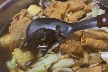 Thực khách hốt hoảng thấy xác chuột nằm chết cứng trong nồi lẩu