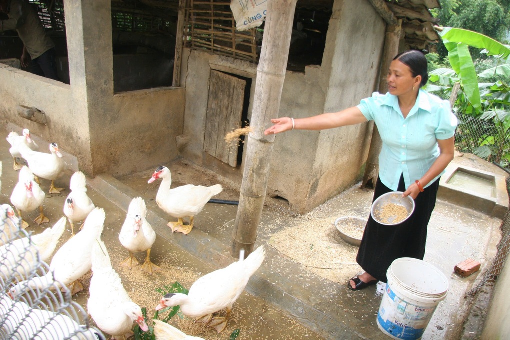 Nổi bật trong chính sách giảm nghèo là sự quan tâm tới phụ nữ và trẻ em - 1