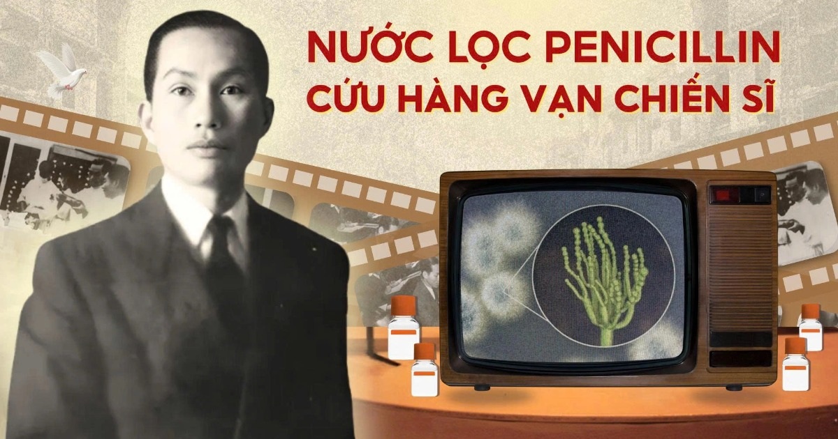 “Nước lọc Penicillin” làm từ ngô khoai: Sáng chế cứu sống hàng vạn chiến sĩ