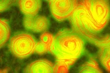 Bất ngờ phát hiện hình ảnh vi khuẩn đột biến đẹp như tranh của Van Gogh