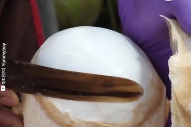 Mãn nhãn với màn chặt dừa đầy nghệ thuật