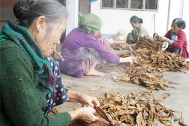 Làng đàn bà hút thuốc