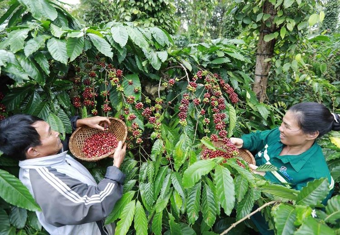 Nestlé đạt thành tích kép về phát triển bền vững và nhân sự - 2 Nestlé đạt thành tích kép về phát triển bền vững và nhân sự - 2