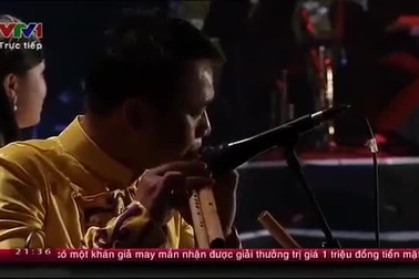 Gặp nhau trong rừng mơ