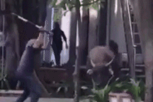 Trâu điên lạc vào công ty đuổi húc nhiều người, "chọi nhau" với xe nâng