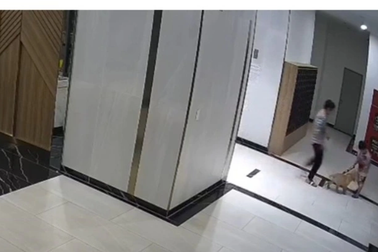 Nuôi chó, mèo ở chung cư