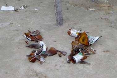 Ẩu đả trong quán karaoke, 1 Việt kiều Mỹ tử vong