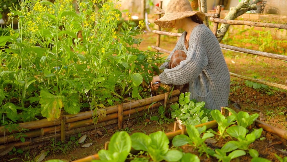 Vợ chồng trẻ bỏ phố về quê: Qua ngày vỡ mộng mới thu được thành quả - 1 Vợ chồng trẻ bỏ phố về quê: Qua ngày vỡ mộng mới thu được thành quả - 1