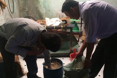 Dùng hóa chất Trung Quốc, chỉ cần 48 tiếng giá đỗ mọc đầy thùng