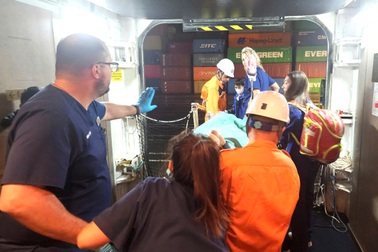 Cấp cứu hành khách gặp tai nạn trên du thuyền quốc tế