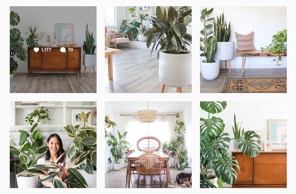 Lạ mắt với ngôi nhà trồng hơn 100 loại cây xanh, ai nhìn cũng mê mẩn - 1 Lạ mắt với ngôi nhà trồng hơn 100 loại cây xanh, ai nhìn cũng mê mẩn - 1