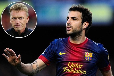 MU nâng giá hỏi mua Fabregas lên 30 triệu bảng