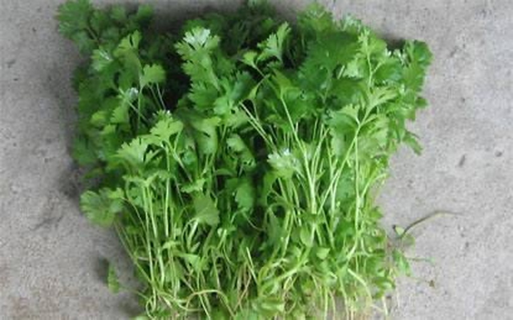 Những siêu thực phẩm tốt cho sức khỏe có trong bát phở - 3 Những siêu thực phẩm tốt cho sức khỏe có trong bát phở - 3