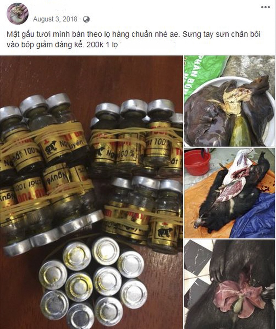 Vi phạm liên quan đến động vật hoang dã trên không gian mạng gia tăng - 2 Vi phạm liên quan đến động vật hoang dã trên không gian mạng gia tăng - 2