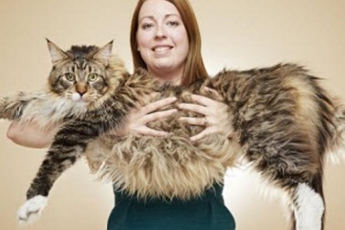 Những kỷ lục thế giới ấn tượng nhất năm 2017