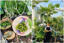 Khu vườn 20m2 rau trái tươi tốt trên sân thượng của vợ chồng trẻ ở Sài Gòn