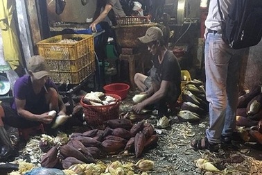 TPHCM: Hãi hùng các cơ sở dùng hóa chất tẩy trắng bắp chuối