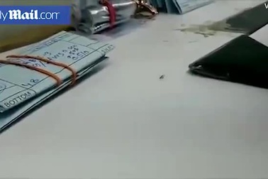 Kinh ngạc kiến trộm kim cương từ cửa hàng trang sức