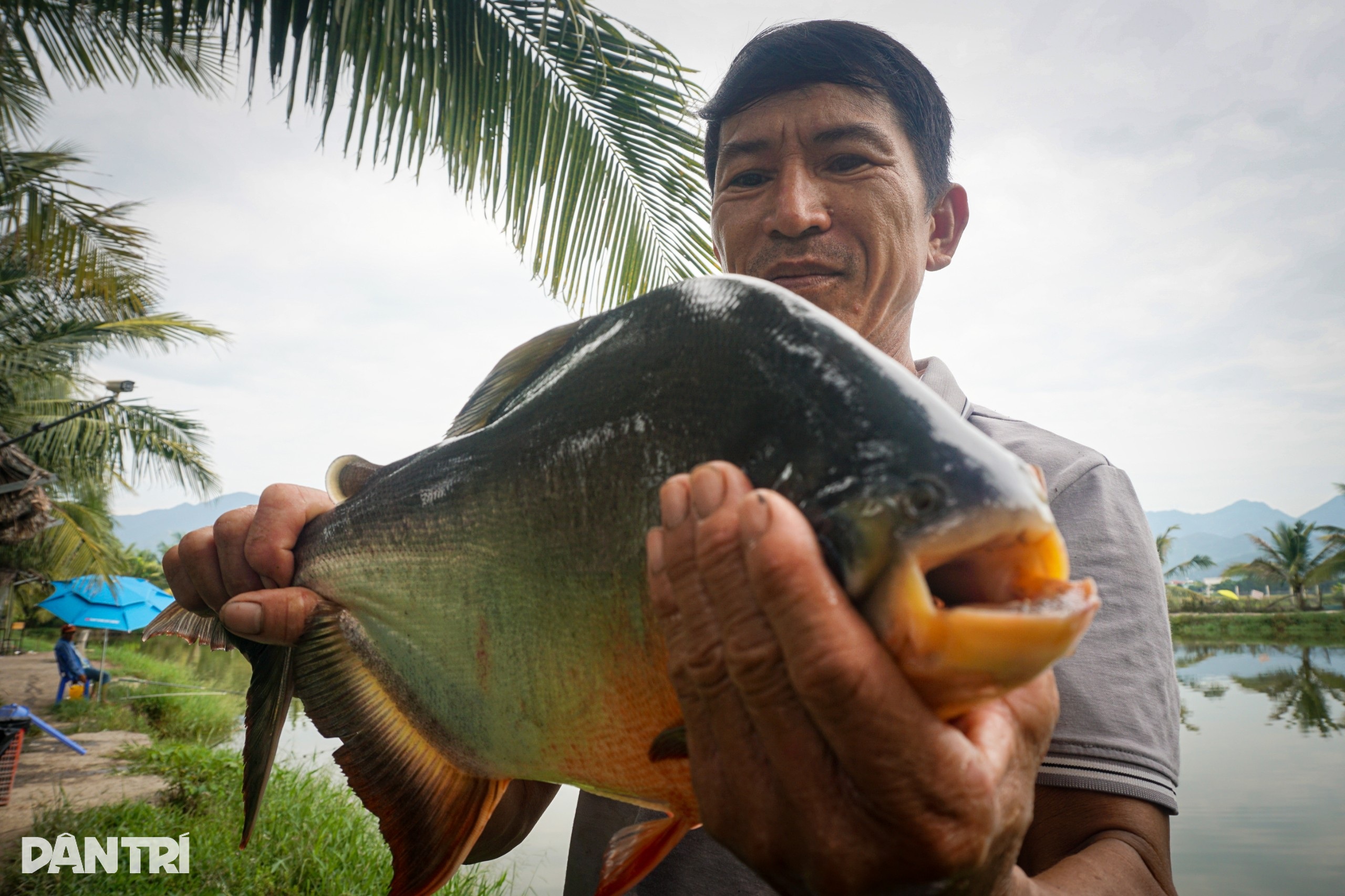 Prosperitate vizibilă pentru pescarii cărora le place să vâneze - 1 Phất lên trông thấy với loài cần thủ khoái săn - 1