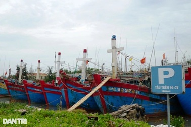 Nam Định hoãn lễ kỷ niệm, tập trung chống bão Yagi