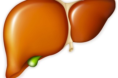 Dùng đồ nhựa - coi chừng gan nhiễm mỡ