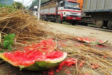 Nông sản bí đầu ra, đừng trách nông dân!