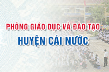 Sẽ chấn chỉnh việc vận động phụ huynh đóng tiền thuê giáo viên dạy tiếng Anh