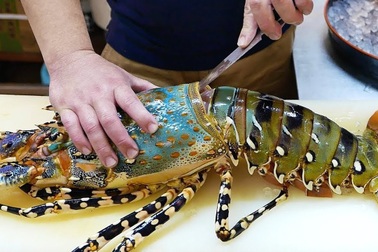 Bị phạt vì bán tôm hùm 1,2 triệu đồng/kg với giá 3,5 triệu đồng dịp nghỉ lễ