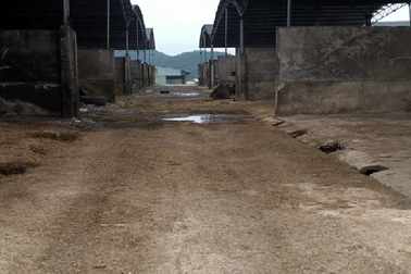 Siêu dự án 4.500 tỷ "teo tóp" mang dấu ấn của BIDV