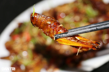 Độc lạ đặc sản "tôm bay" giá nửa triệu đồng/kg ngon nức tiếng ở Nghệ An