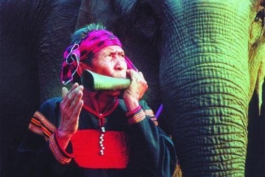 Những con số ít biết về “vua voi” Ama Kông  