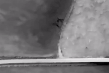 Nga khai hỏa đánh sập loạt vũ khí, ngăn Ukraine lập vùng đệm qua biên giới