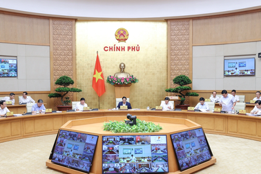 Thủ tướng chào mừng tân Bộ trưởng lần đầu dự phiên họp Chính phủ