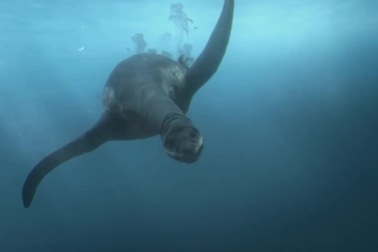 Khám phá thủy quái đáng sợ nhất kỷ Jura với lực cắn gấp 3 lần T-Rex