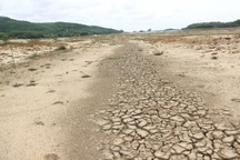 Cận cảnh hồ nước ngọt lớn nhất Quảng Ninh cạn trơ đáy, bò đi lại giữa hồ