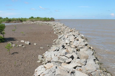 60 tỷ đồng xây bờ kè khẩn cấp chống vỡ đê biển