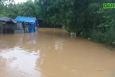 Đà Nẵng: Mưa xối xả, nhiều nơi bị ngập