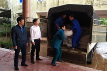 Nghệ An: Phân bổ hơn 727 tấn gạo hỗ trợ người dân trong dịp Tết