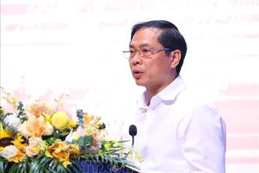 Đẩy mạnh công tác người Việt Nam ở nước ngoài trong tình hình mới