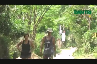 Video: Không gian xanh ở làng Triêm Tây